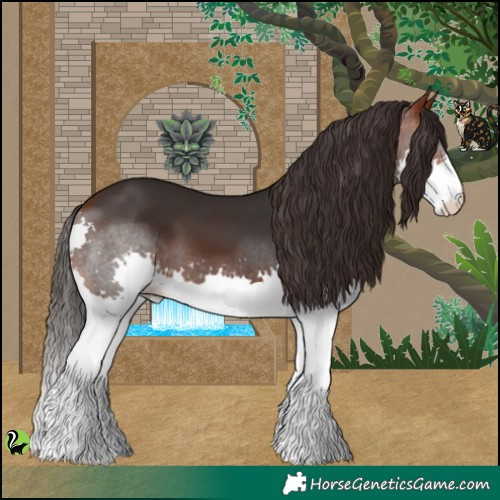 Horse Color:Bay Splash 