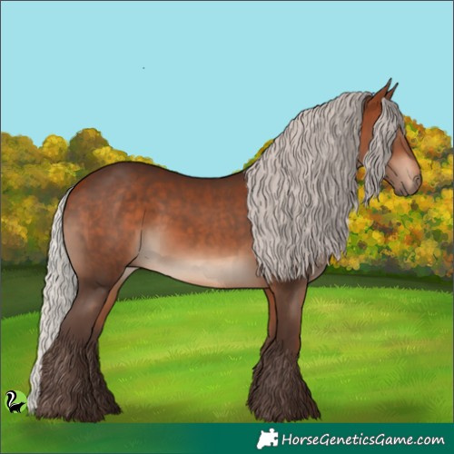 Horse Color:Silver Bay 