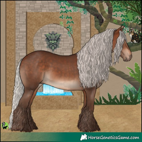 Horse Color:Silver Bay 