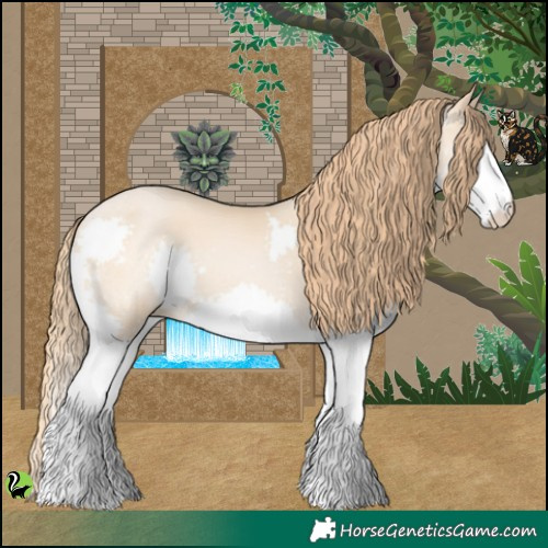 Horse Color:Buckskin Pearl Splash 