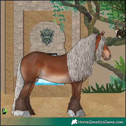 Horse Color:Silver Bay 
