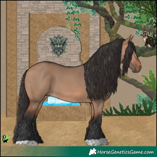 Horse Color:Bay Dun 
