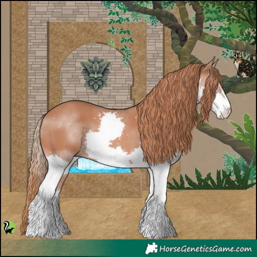 Horse Color:Chestnut Splash 