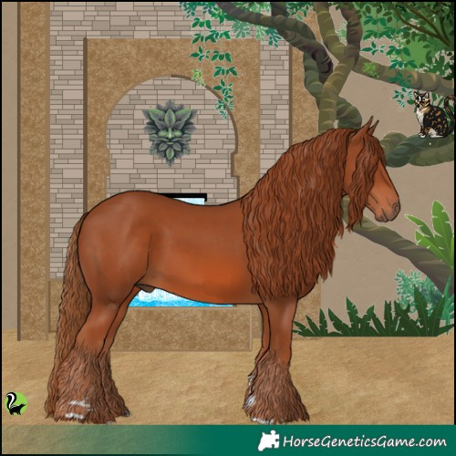 Horse Color:Chestnut 