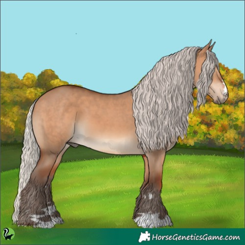 Horse Color:Silver Brown Dun 