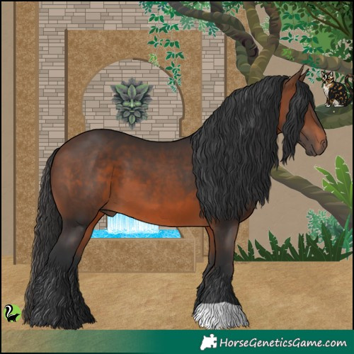 Horse Color:Brown 
