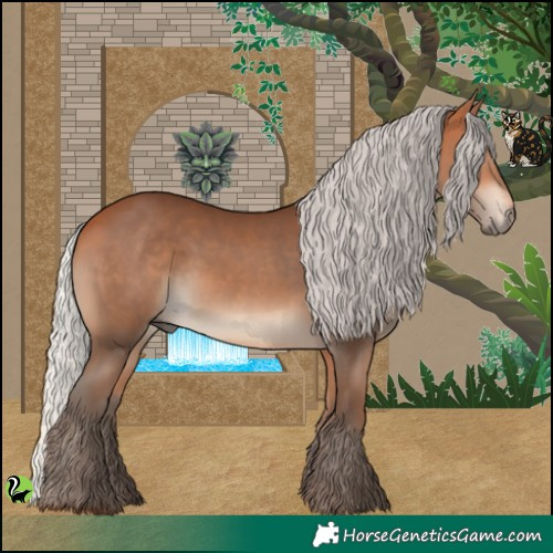 Horse Color:Silver Bay 