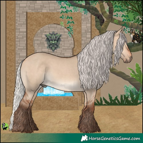 Horse Color:Silver Bay Dun 