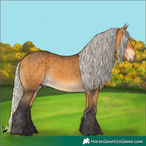 Horse Color:Silver Buckskin 