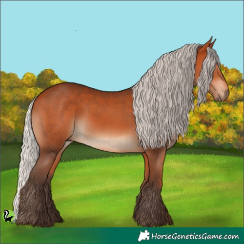 Horse Color:Silver Bay 
