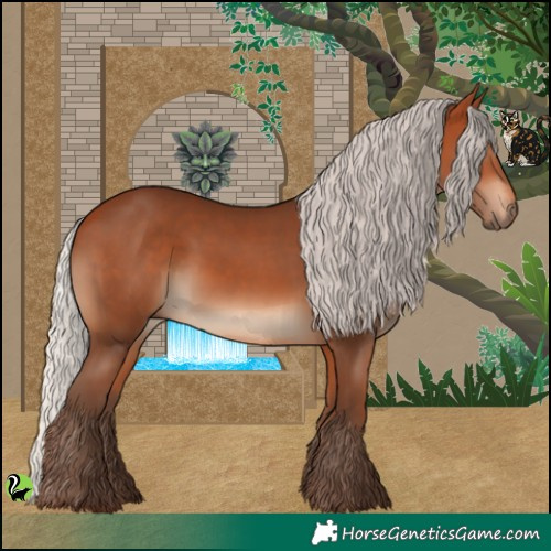 Horse Color:Silver Bay 