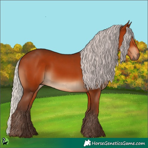 Horse Color:Silver Brown 