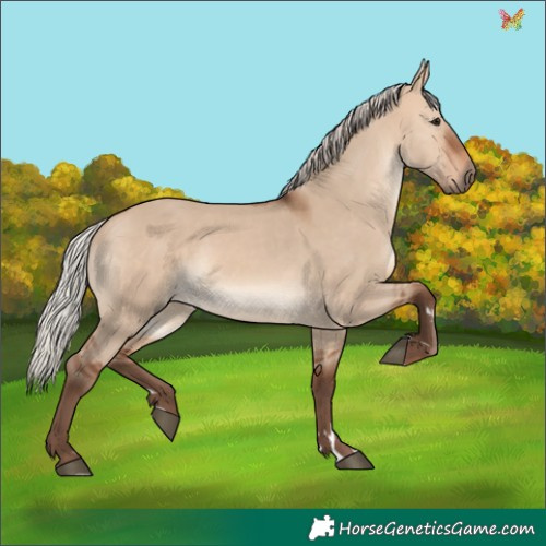 Horse Color:Silver Brown Dun 