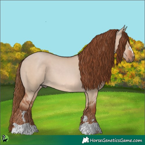 Horse Color:Red Dun 