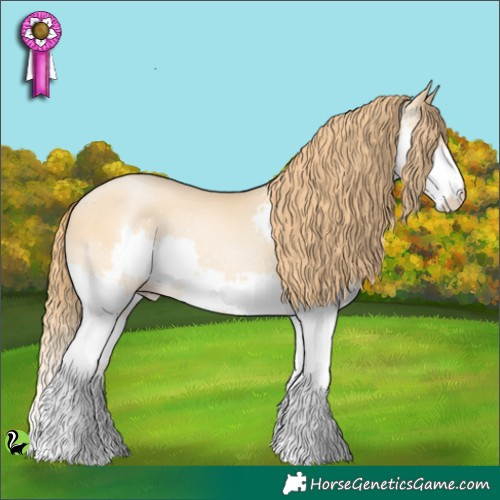 Horse Color:Buckskin Pearl Splash 