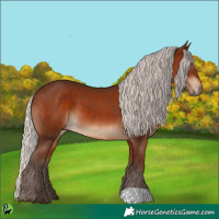 Horse Color:Silver Bay 