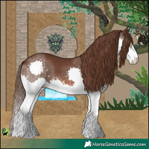 Horse Color:Liver Chestnut Splash 