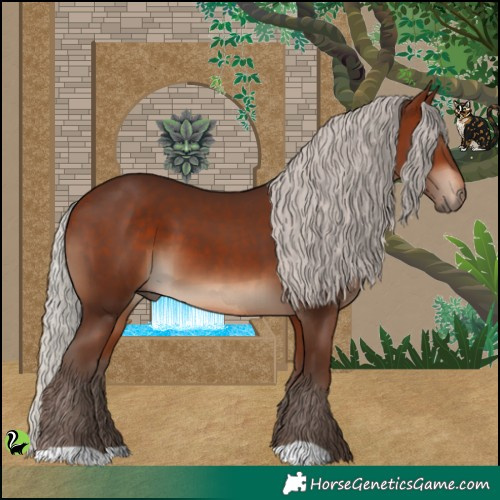 Horse Color:Silver Bay 