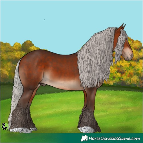 Horse Color:Silver Bay 