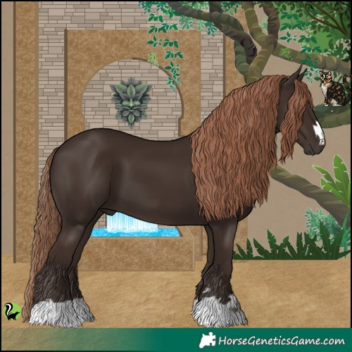 Horse Color:Liver Chestnut 