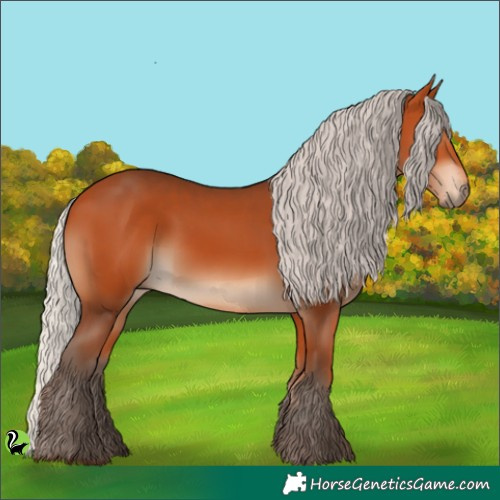 Horse Color:Silver Bay 