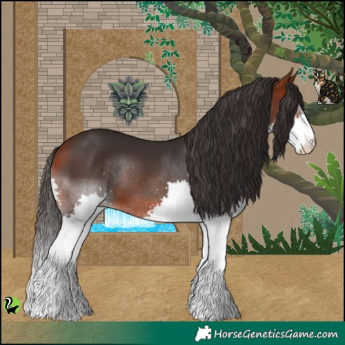 Horse Color:Bay Splash 