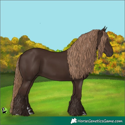 Horse Color:Liver Chestnut 