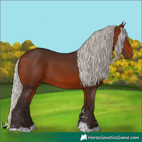 Horse Color:Silver Brown 