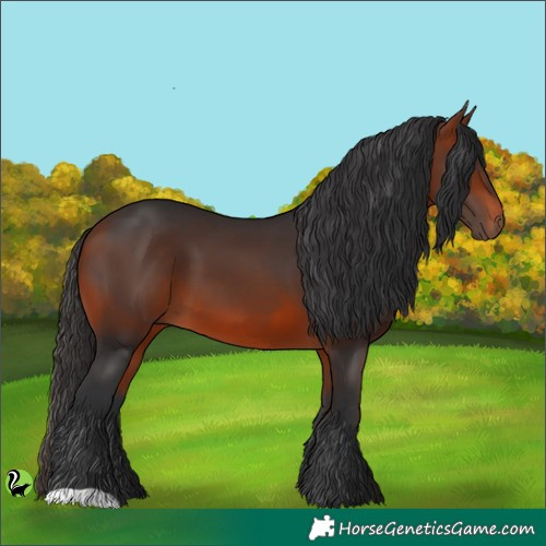 Horse Color:Brown 