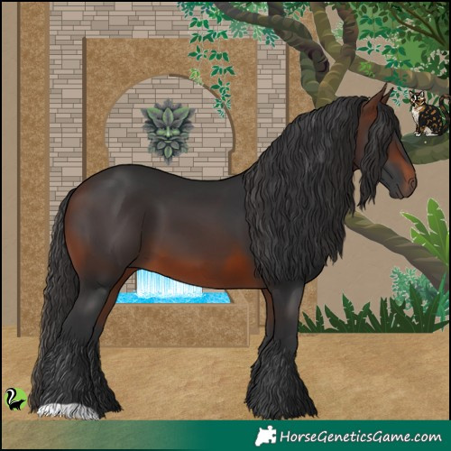 Horse Color:Brown 