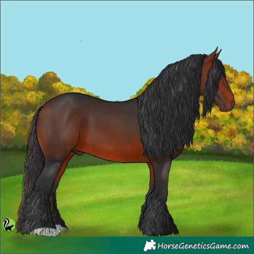 Horse Color:Brown 
