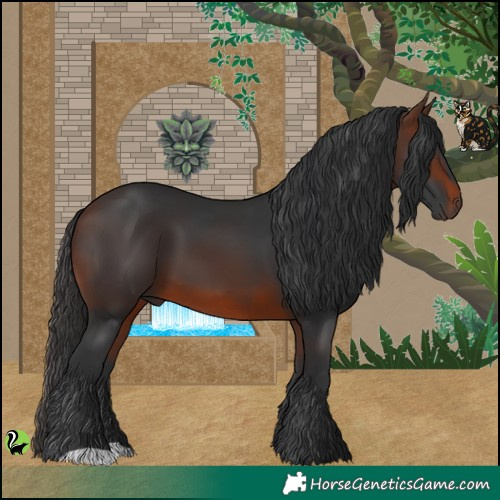 Horse Color:Brown 