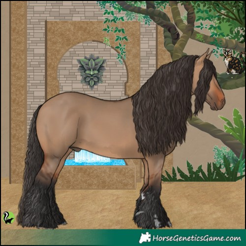 Horse Color:Bay Dun 