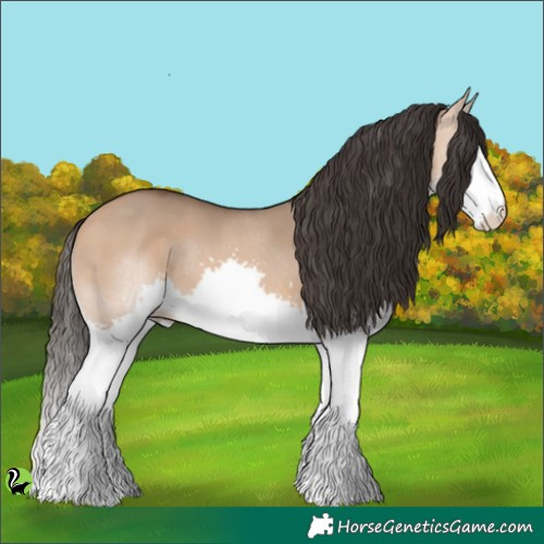 Horse Color:Bay Dun Splash 