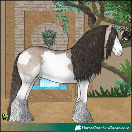 Horse Color:Bay Dun Splash 