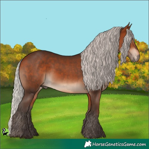 Horse Color:Silver Bay 