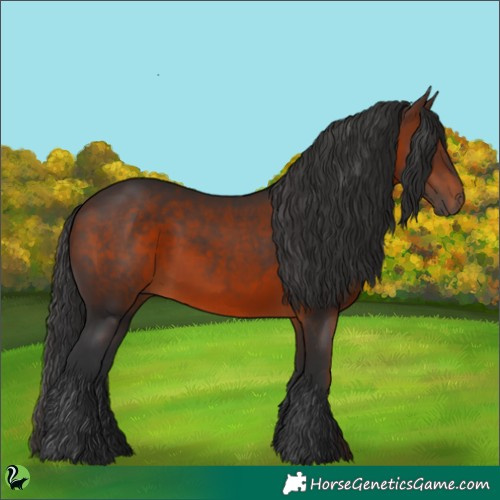 Horse Color:Brown 