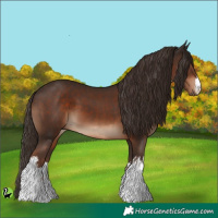 Horse Color:White Spotted Liver Chestnut 