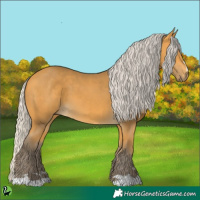 Horse Color:Silver Buckskin 