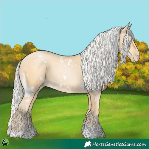 Horse Color:White Spotted Silver Buckskin Pearl 