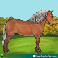 Horse Color:Silver Bay 
