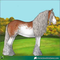 Horse Color:White Spotted Silver Bay 