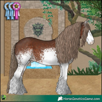 Horse Color:White Spotted Liver Chestnut 