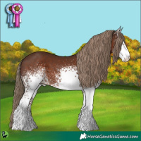 Horse Color:White Spotted Liver Chestnut 