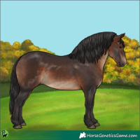 Horse Color:Brown 