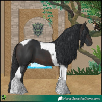 Horse Color:Brown Tobiano 