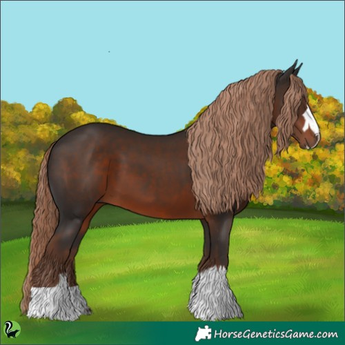 Horse Color:Liver Chestnut 