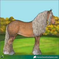 Horse Color:Chocolate Palomino 