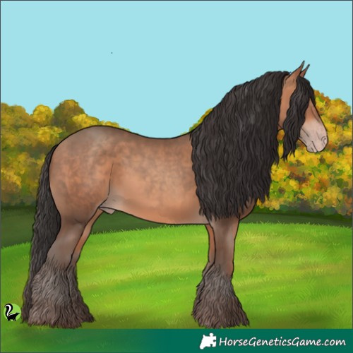 Horse Color:Sable Champagne 