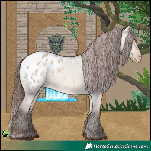Horse Color:Sable Champagne Dun Appaloosa 